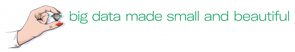 NGDATA IEP - Big data made small and beautiful