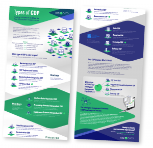 Types of CDP Infographic